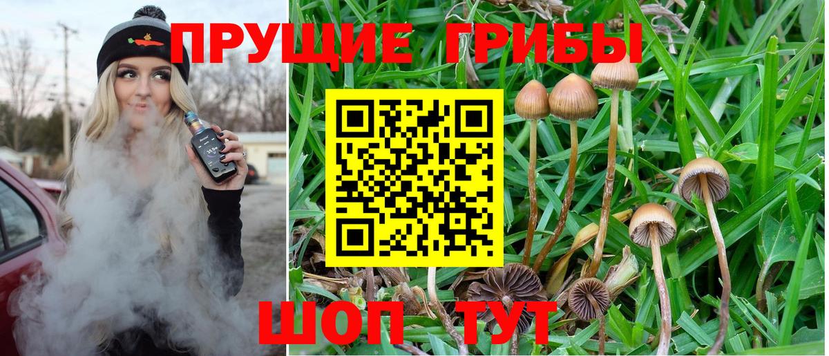 Можайск  Галлюциногенные грибы Psilocybe  Вход с VPN  Псилоцибиновые грибы GOLDEN TEACHER 