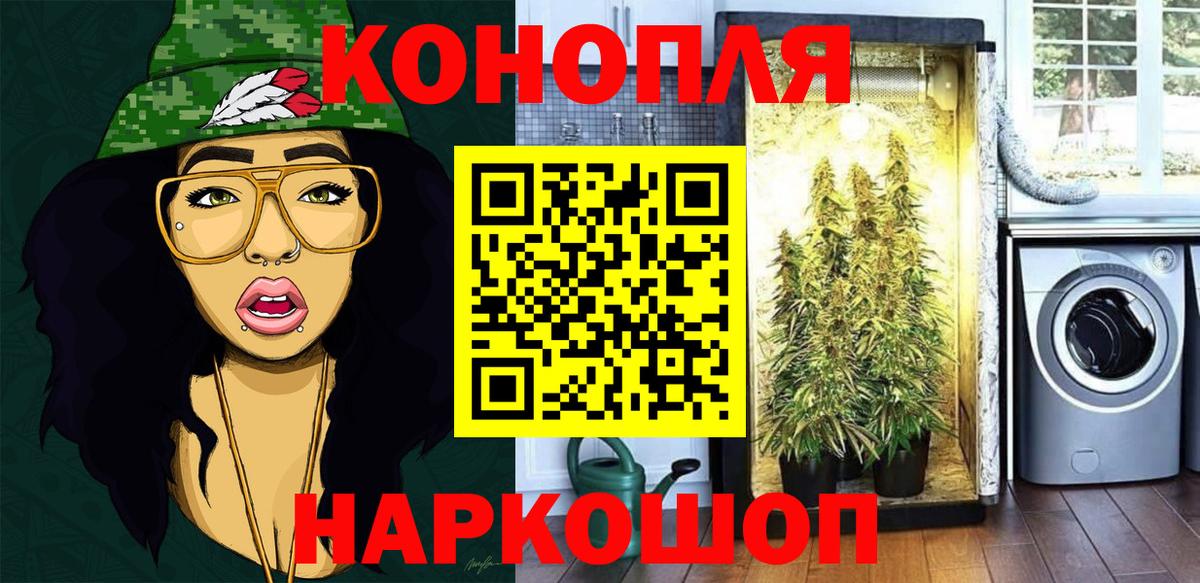 Бошки Шишки конопля Можайск